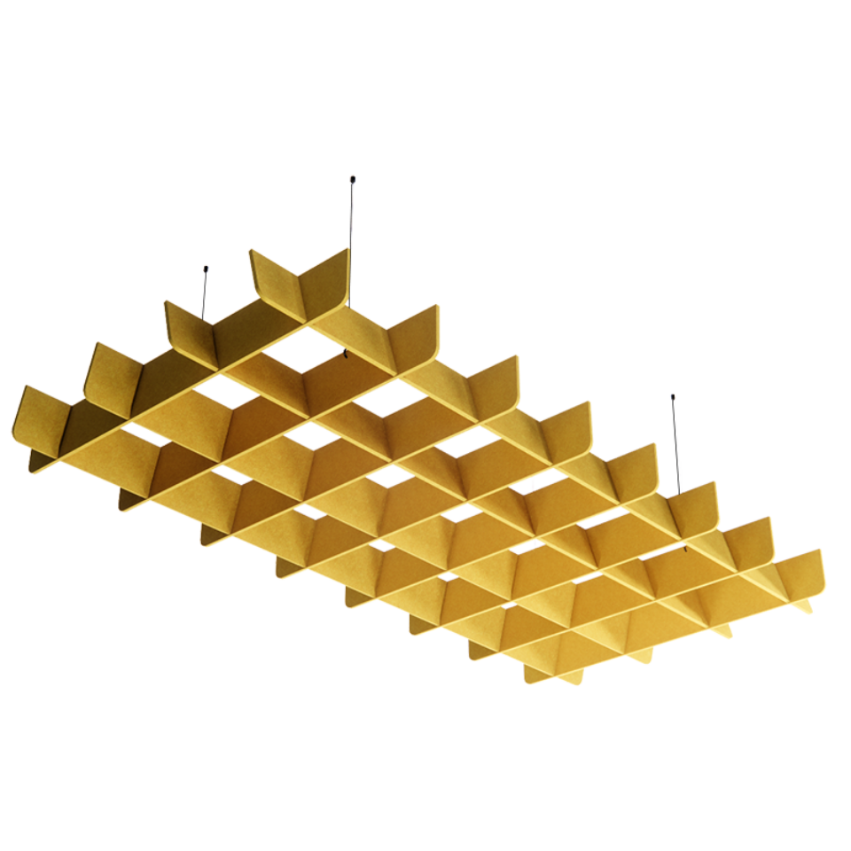 Liego rectangle x